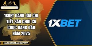 1XBET