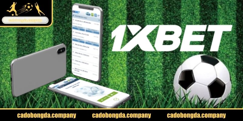 Trải nghiệm 1XBET cá cược đỉnh cao