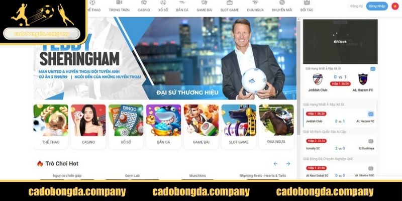 Giới thiệu đôi điều về nhà cái 8XBET