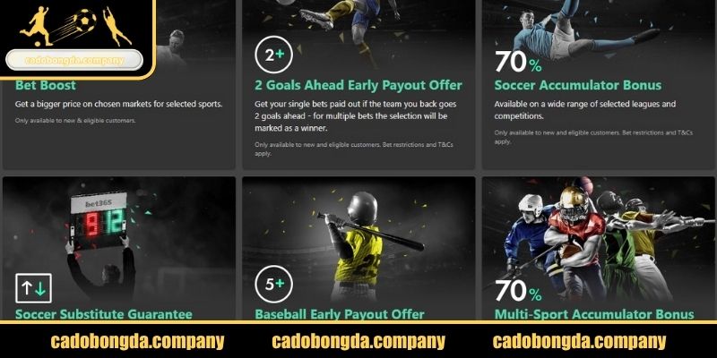Giao diện BET365 thân thiện
