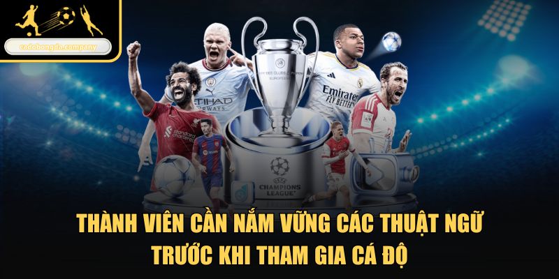 Thành viên cần nắm vững các thuật ngữ trước khi tham gia cá độ