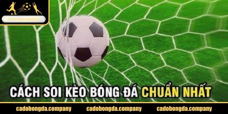 Cách ra kèo của nhà cái là gì