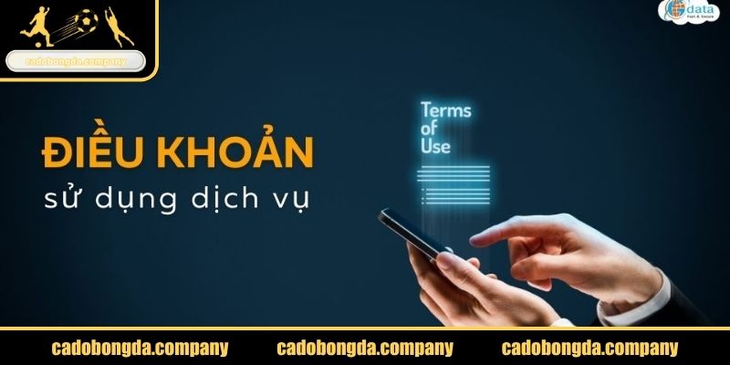 Điều khoản liên quan giao dịch tại cadobongda.company