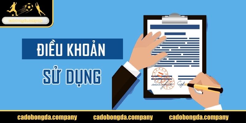 Sơ lược về điều khoản sử dụng tại cadobongda.company