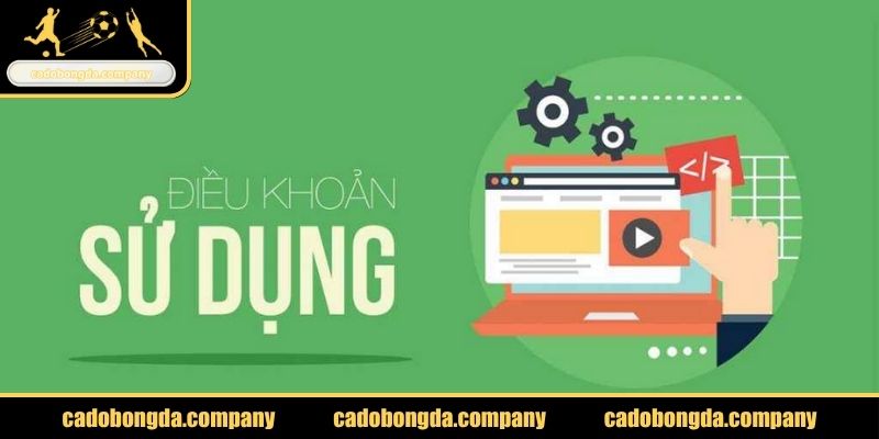Điều khoản sử dụng khi tạo tài khoản cược