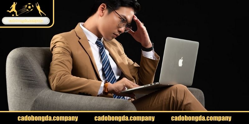 Tầm nhìn của CEO Giàng A Bang tại cadobongda.company