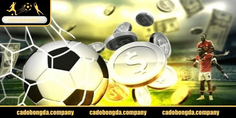 Dịch vụ chuyên nghiệp từ đội ngũ nhân viên cadobongda.company