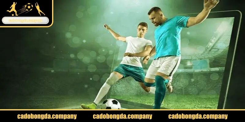 Giá trị cốt lõi tại cadobongda.company