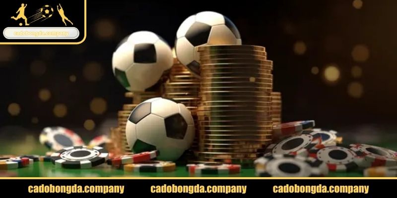 Giới thiệu sự ra đời của cadobongda.company trong cá cược