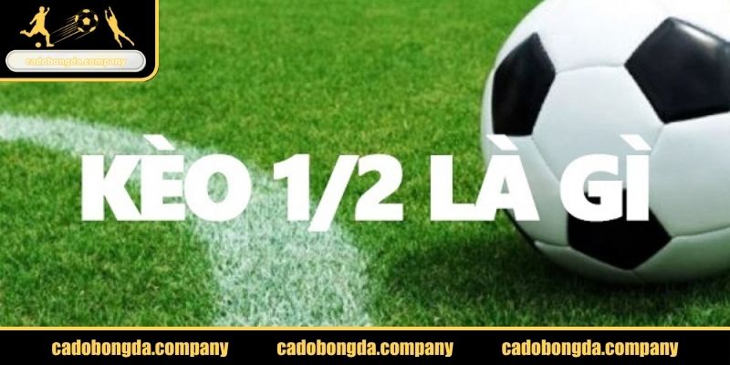 Kèo 1x2 Cadobongda.company là gì?