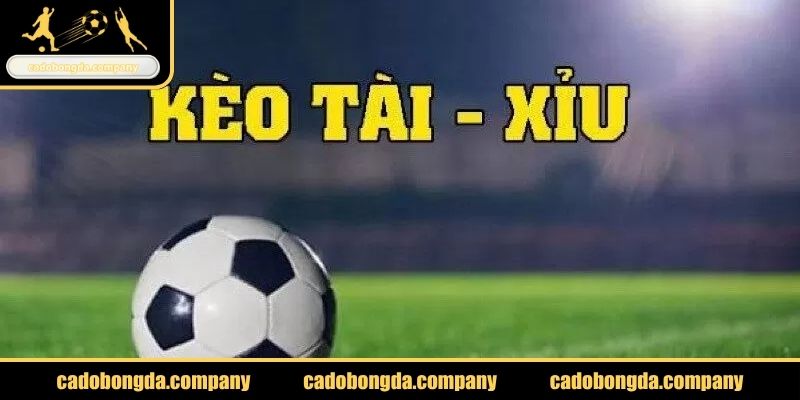 Cách thức chơi kèo Tài Xỉu cần biết để đầu tư cá độ