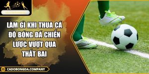 làm gì khi thua cá độ bóng đá