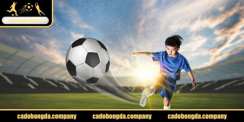 Làm gì khi thua cá độ bóng đá phân tích trận thua