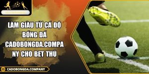 làm giàu từ cá độ bóng đá