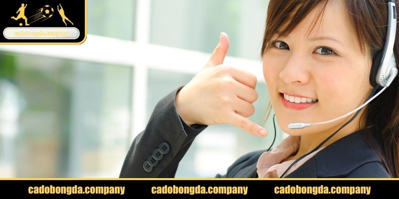Các trường hợp cần liên hệ cadobongda.company