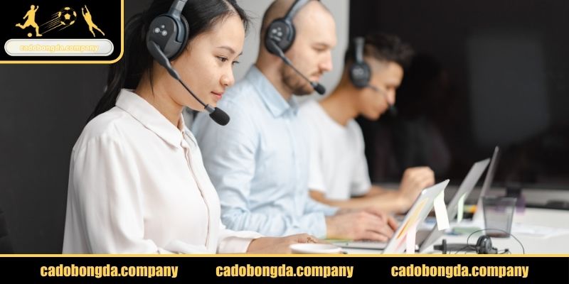 Liên hệ qua Email