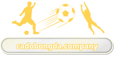 Cá Độ Bóng Dá