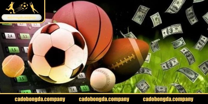 Nhà cái tặng tiền đánh giá