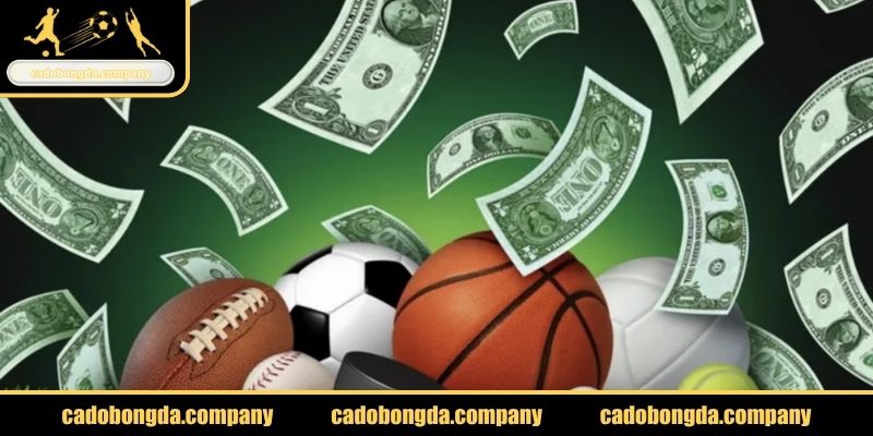 Tiền thưởng khởi nghiệp khi mở Account