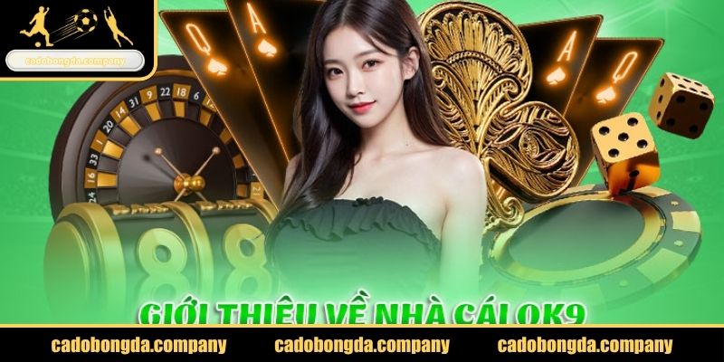 Khái quát về nhà cái cá cược chất lượng OK9